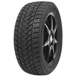 DELINTE WD 1 195/55R15 85H  TL