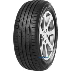 MINERVA F 209 195/50R16 84V  TL